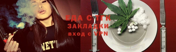 индика Няндома