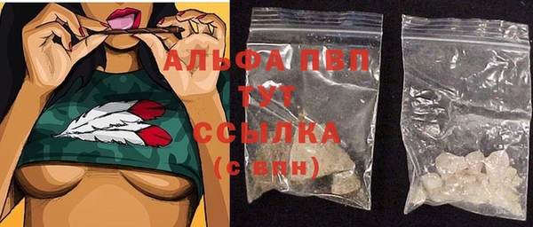 стаф Алексеевка