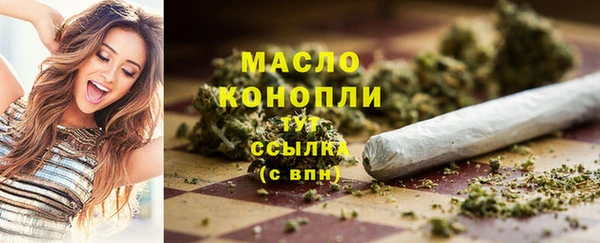 индика Няндома