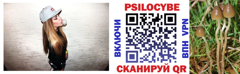 Галлюциногенные грибы Cubensis  Ярцево 