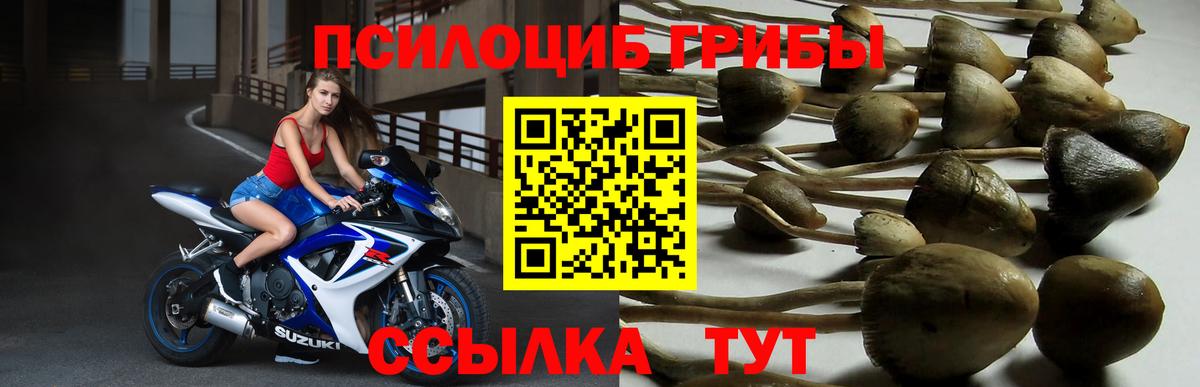 Псилоцибиновые грибы мухоморы  Вход с VPN  Ярцево 